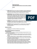 Informe de Audiencia Primera Declaración