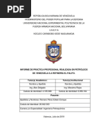 Informe Final 