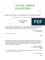 Clave Del Orden Coleópteros