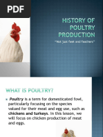 History of Poultry Production Ver 3 Pres