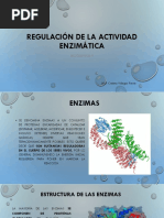 Regulación de La Actividad Enzimática 1