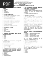 Examen Excrecion Septimo Grado C