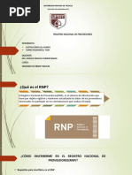 Diapositivas RNP