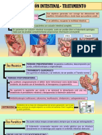 Obstruccion Intestinal