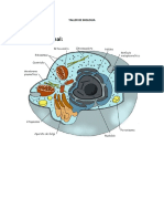 Taller de Biologia