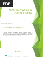 Fases Del Proyecto de Inversión Publica