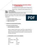 13 Informe Anual Del Comité de Seguridad y Salud en El Trabajo 2013 Cerro Verde