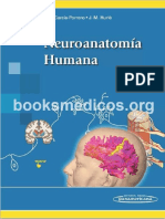 Neuroanatoma Humana