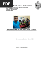 Informe de LIMON