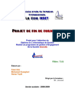 Rapport de Projet de Fin de Formation