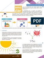 M14 S3 Metabolismo Celular