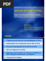 06 Aplicacion NIIF en El Peru