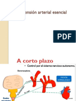 Hipertension Arterial Escencial