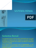 Sistema Endocrino y Renal