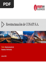 Trabajo Final: Plan de Reestructuracion Cosapi