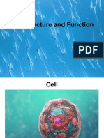 Cell Parts and Its Function DLL