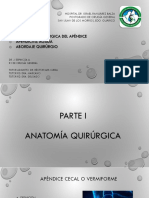 Anatomía Quirúrgica Del Apendice y Apendictis Aguda