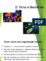 Vírus e Bactérias