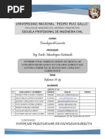 Columna Esbelta Informe 03