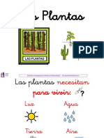 Las Plantas 1º Primaria