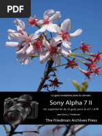 SP-A7 II Supplement - Gary L. Friedman