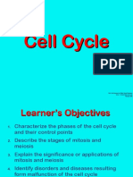 Cell Division