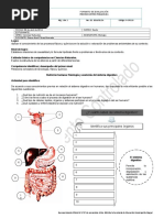 F-Gpe.10 Evaluación Al Estudiante Sexto La Boca S.D