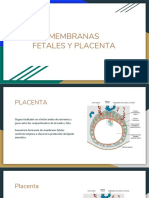 Membranas Fetales y Placenta