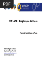 Completacao de Pocos de PeG PDF