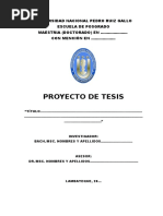 Protocolo PROYECTO - DE - TESIS EPG UNPRG