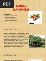 Familia Sapindaceae