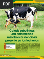 Articulo Utn Cetosis Revista 62