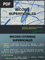 Micosis 170309191442