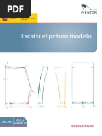 Escalar Patron Modelo