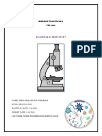 Biology Practical 2 