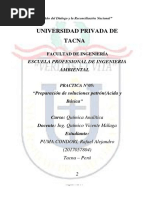 Informe de Laboratorio n5 Quimica