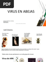 3 Zoo A.virus en Abejas