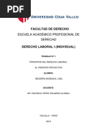 Derecho Laboral-Principio Protector