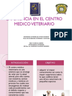 Experiencia en El Centro Medico Veteriario