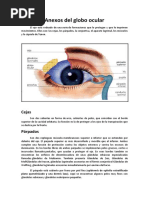 Anexos Del Globo Ocular y Medios Refringentes