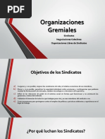 Organizaciones Gremiales