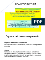 Biofisica Respiratoria 13