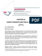 CCAO - County Budgets - 49 Pgs