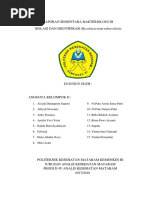 LAPORAN Mycobacterium Tuberculosis (Repaired)