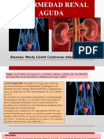 Insuficiencia Renal Aguda Fin 2