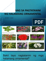 Pakinabang Sa Pagtatanim NG Halamang Ornamental