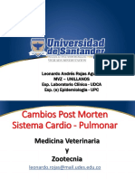 4.cambios Post Mortem Sistemas II