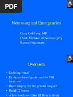 Neurosurgical Emergencies: Craig Goldberg, MD Chief, Division of Neurosurgery Bassett Healthcare