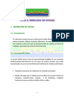 5mercado Divisas ACCAM Format