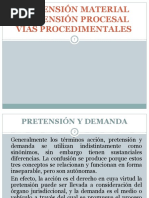 Estructura de La Pretensión Jurídica Procesal